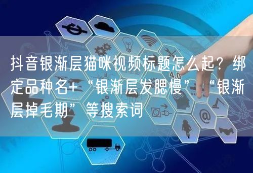 抖音银渐层猫咪视频标题怎么起?绑定品种名+“银渐层发腮慢”“银渐层掉毛期”等搜索