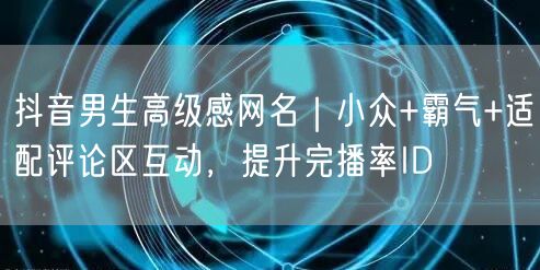 抖音男生高级感网名｜小众+霸气+适配评论区互动，提升完播率ID