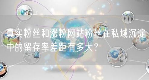 真实粉丝和涨粉网站粉丝在私域沉淀中的留存率差距有多大?