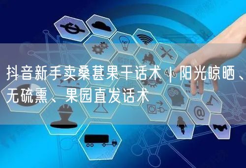 抖音新手卖桑葚果干话术|阳光晾晒、无硫熏、果园直发话术