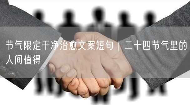 节气限定干净治愈文案短句|二十四节气里的人间值得