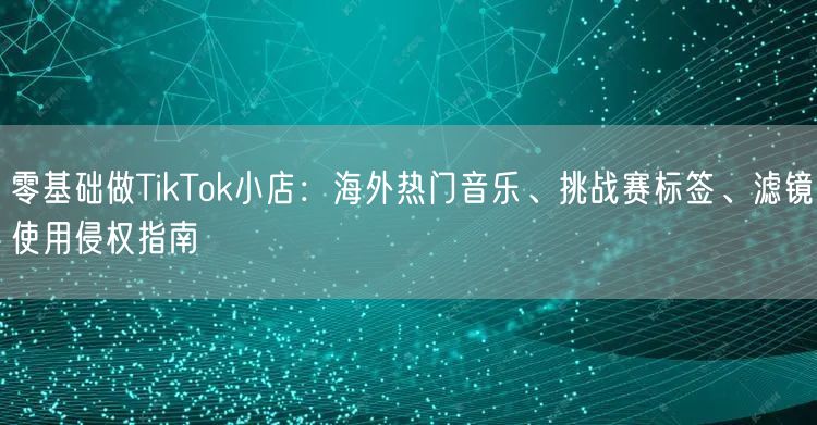 零基础做TikTok小店:海外热门音乐、挑战赛标签、滤镜使用侵权指南