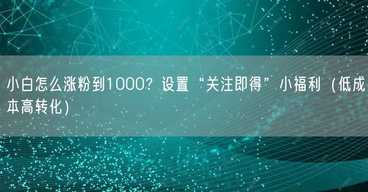 小白怎么涨粉到1000?设置“关注即得”小福利(低成本高转化)