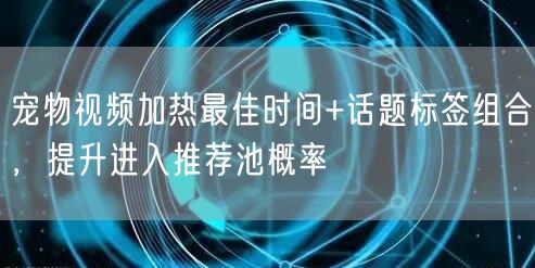 宠物视频加热最佳时间+话题标签组合,提升进入推荐池概率