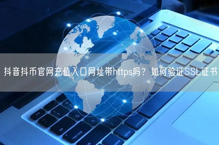 抖音抖币官网充值入口网址带https吗?如何验证SSL证书