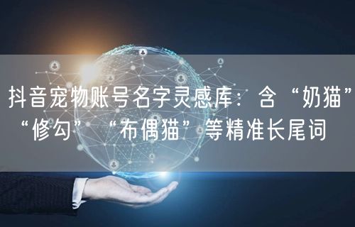 抖音宠物账号名字灵感库：含“奶猫”“修勾”“布偶猫”等精准长尾词