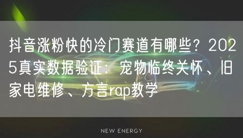 抖音涨粉快的冷门赛道有哪些?2025真实数据验证:宠物临终关怀、旧家电维修、方言