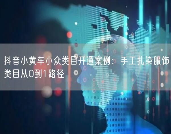 抖音小黄车小众类目开通案例:手工扎染服饰类目从0到1路径
