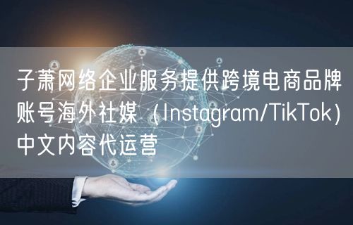 子萧网络企业服务提供跨境电商品牌账号海外社媒(Instagram/TikTok)