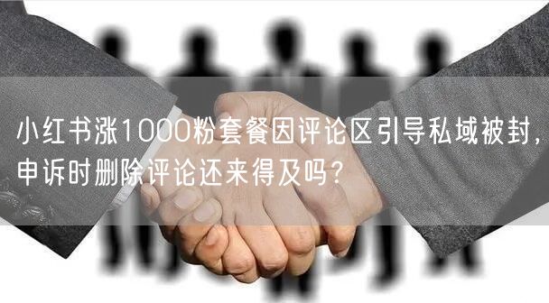 小红书涨1000粉套餐因评论区引导私域被封,申诉时删除评论还来得及吗?